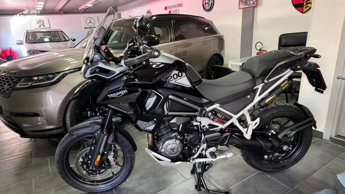 Triumph Tiger 1200 GT Pro (2024 - 26)  (4)