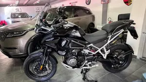 Triumph Tiger 1200 GT Pro (2024 - 26)  (4)