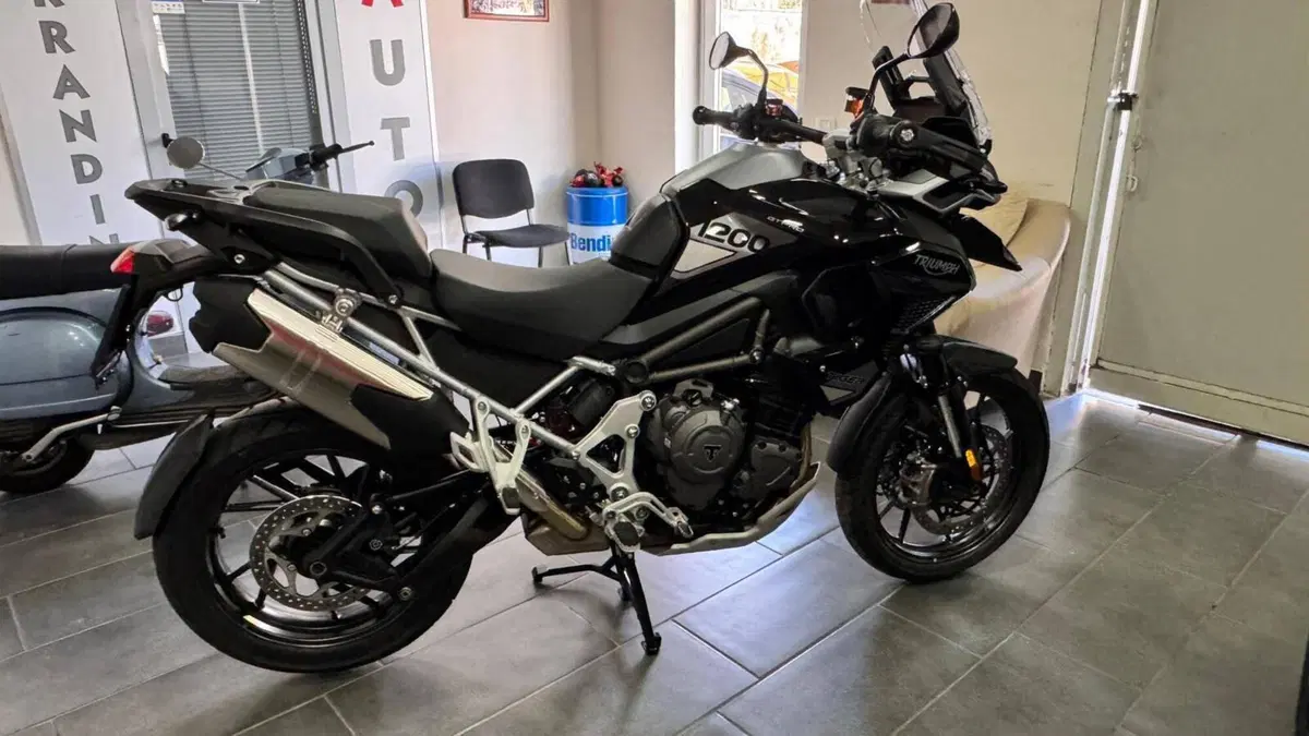 Triumph Tiger 1200 GT Pro (2024 - 26)  (8)