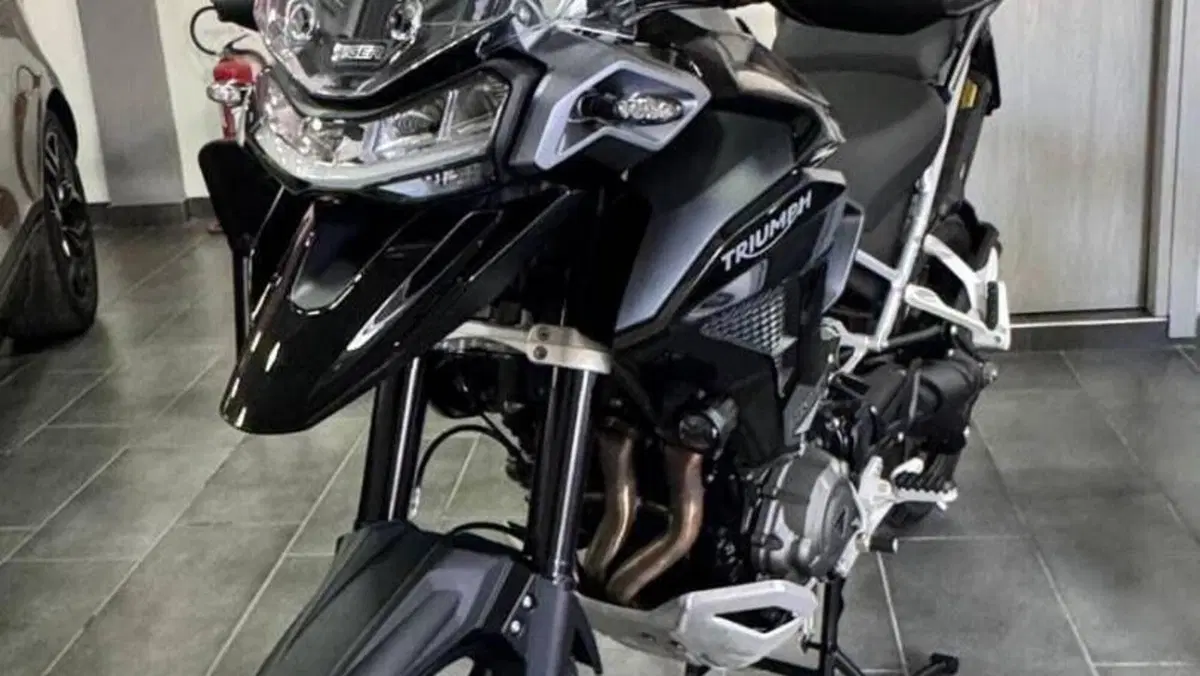 Triumph Tiger 1200 GT Pro (2024 - 26)  (9)