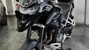 Triumph Tiger 1200 GT Pro (2024 - 26)  (9)
