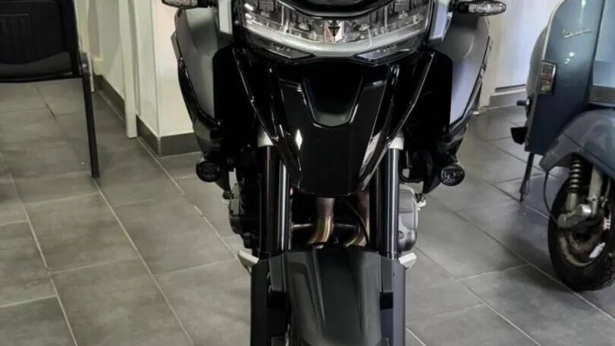 Triumph Tiger 1200 GT Pro (2024 - 26)  (5)