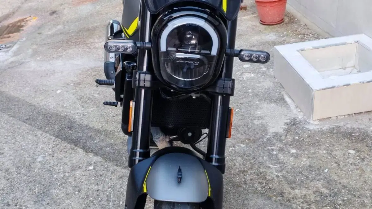 Benelli Leoncino 250 (2021 - 25) 