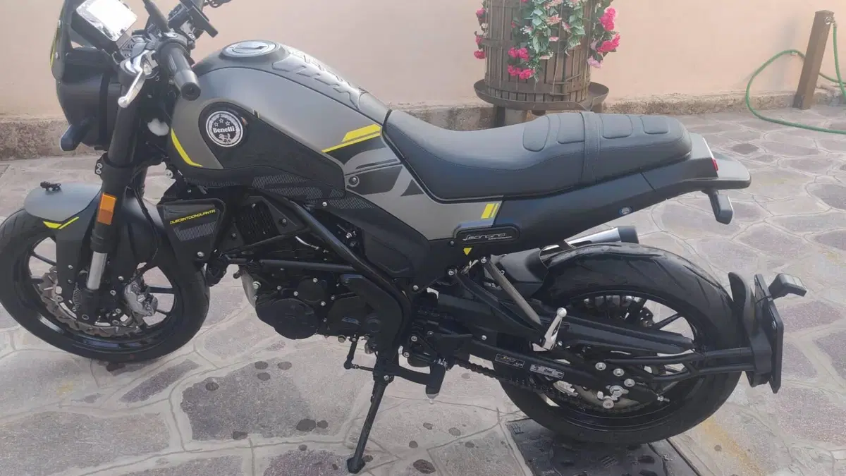 Benelli Leoncino 250 (2021 - 25)  (3)
