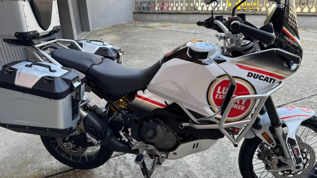 Ducati DesertX (2022 - 25)  (7)