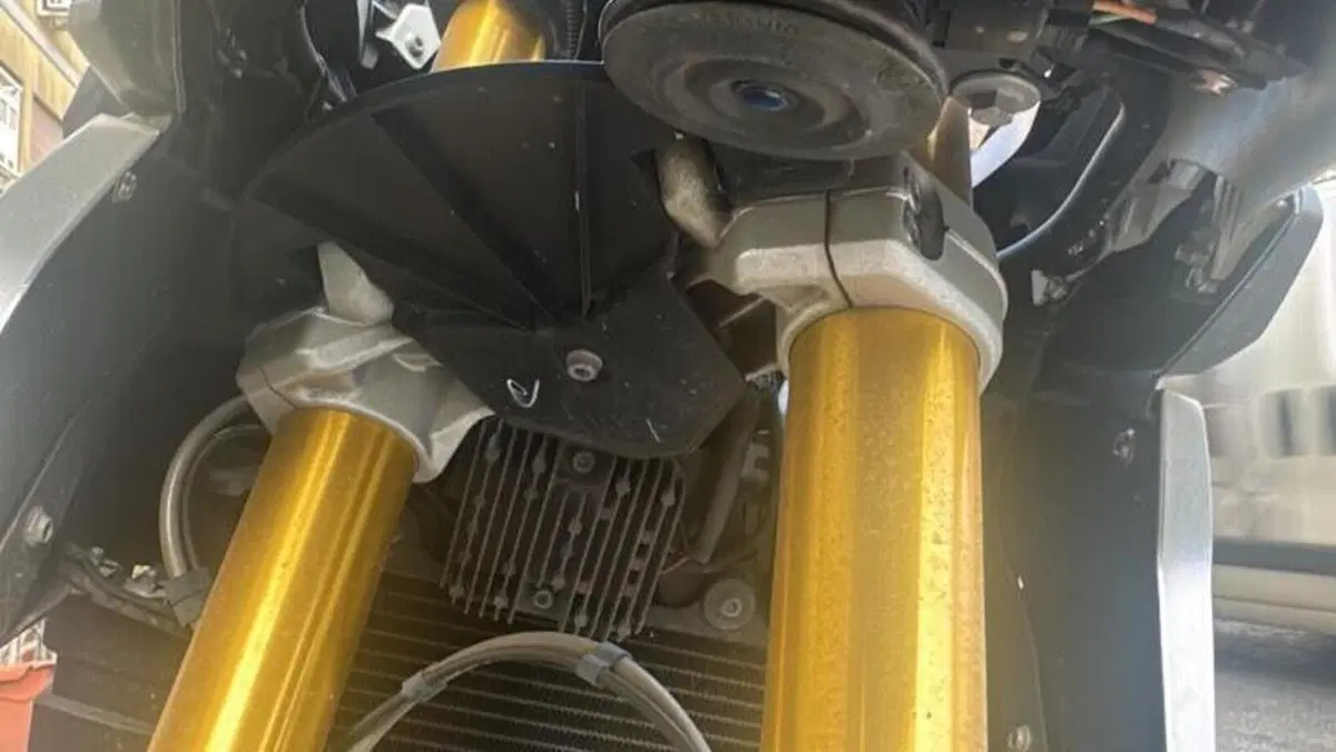 Bmw G 310 GS (2017 - 20)  (3)