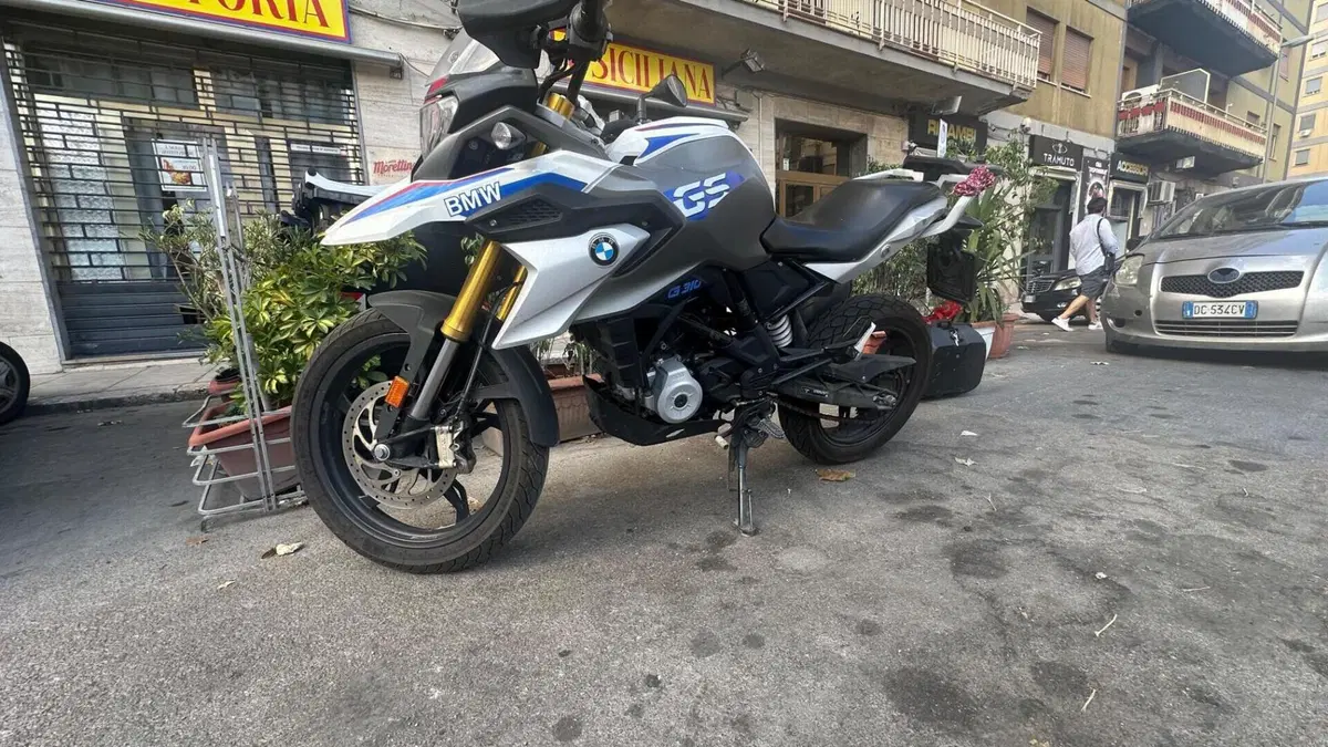 Bmw G 310 GS (2017 - 20)  (7)