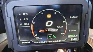 Harley-Davidson Pan America 1250 Special (2020 - 25)  (5)