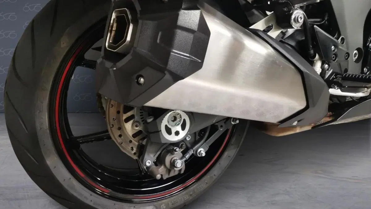Kawasaki Ninja 1000 SX (2021 - 24)  (6)