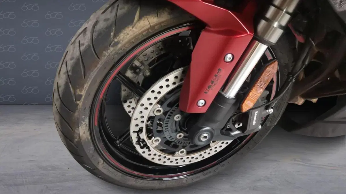Kawasaki Ninja 1000 SX (2021 - 24)  (5)