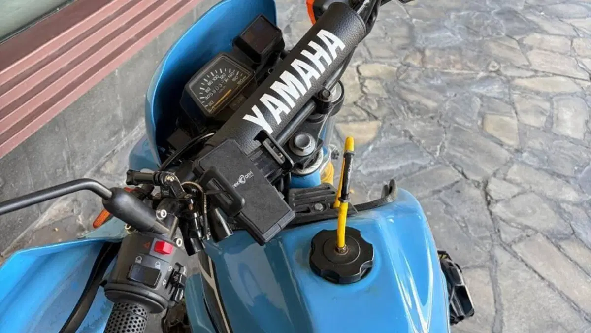 Yamaha XT 600 (1984 - 98)  (8)