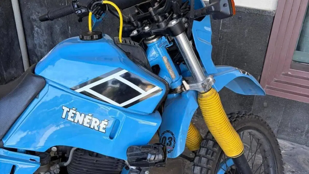 Yamaha XT 600 (1984 - 98)  (12)