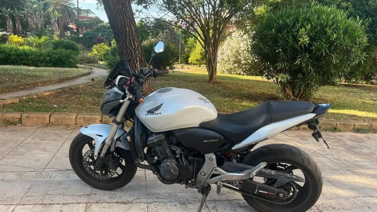 Honda Hornet 600 (2011 - 13)  (4)