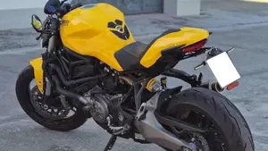 Ducati Monster 821 (2018 - 20)  (4)