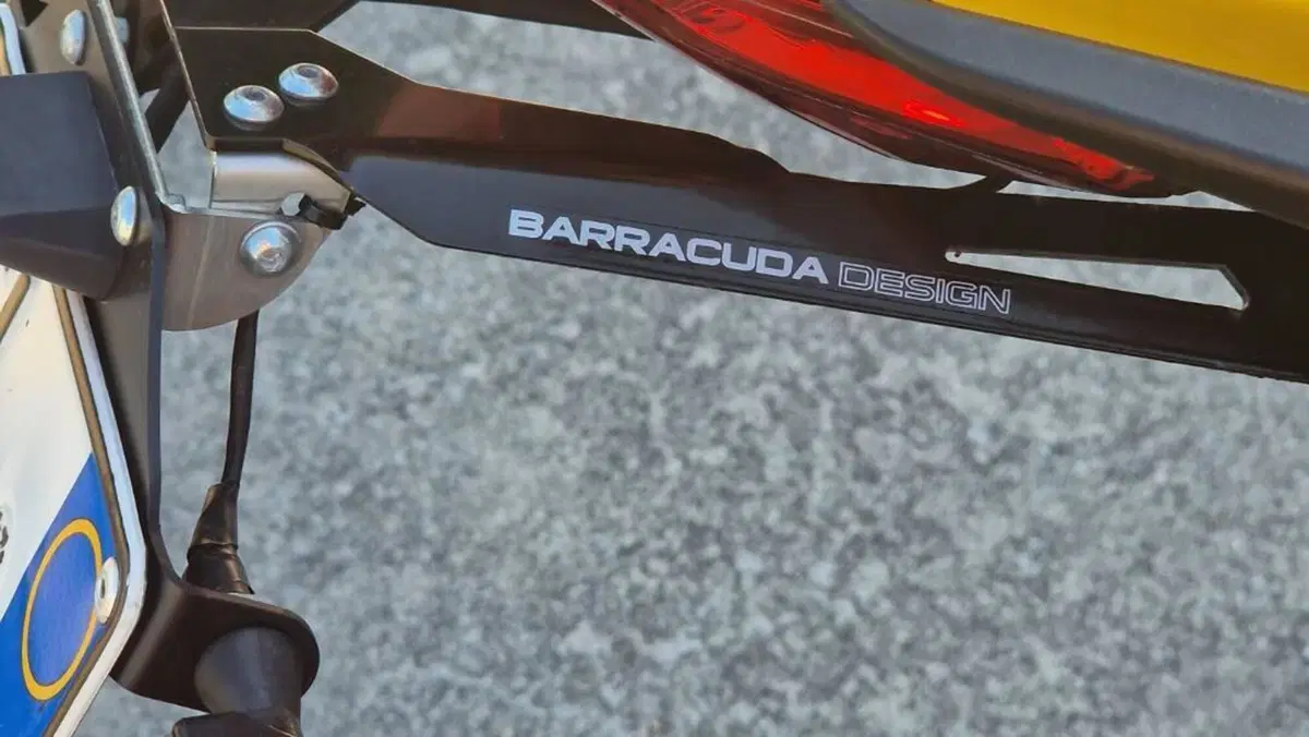 Ducati Monster 821 (2018 - 20)  (8)