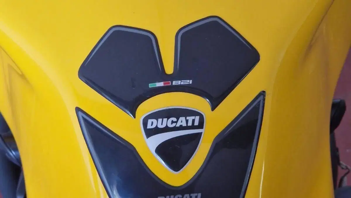Ducati Monster 821 (2018 - 20)  (10)