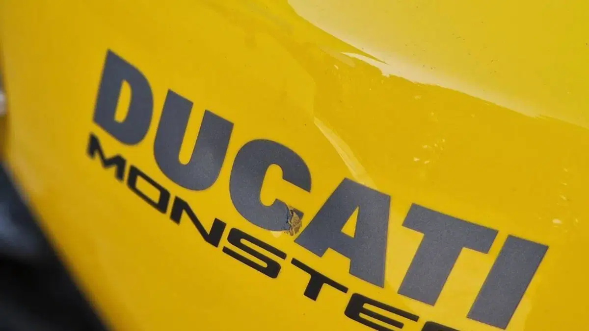 Ducati Monster 821 (2018 - 20)  (12)