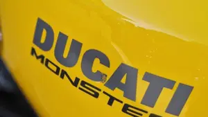 Ducati Monster 821 (2018 - 20)  (12)