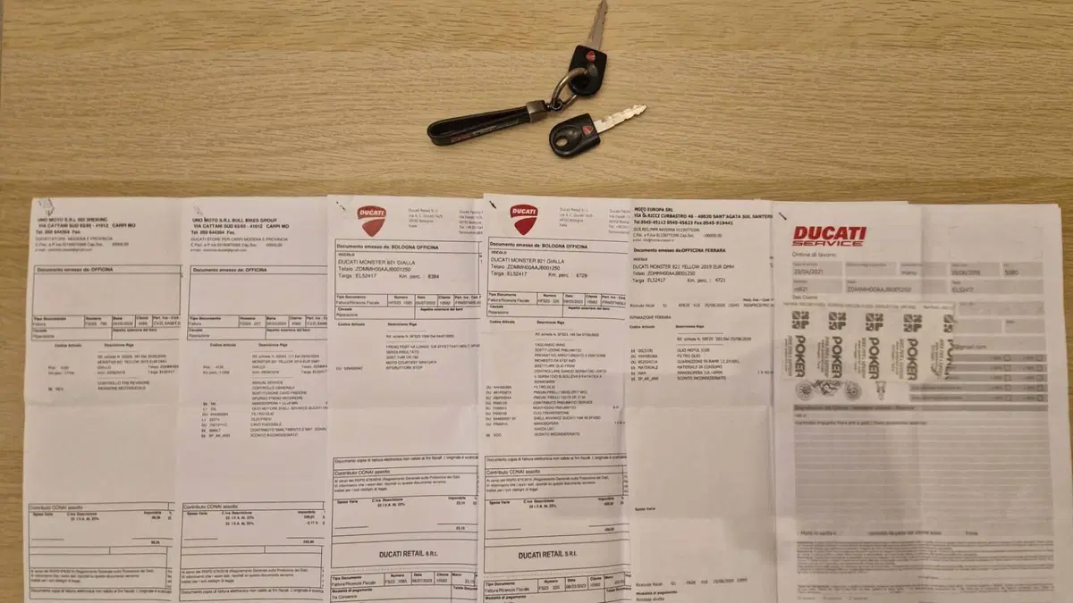Ducati Monster 821 (2018 - 20)  (13)