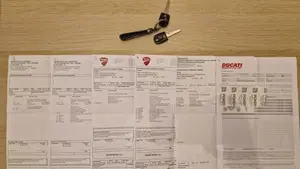 Ducati Monster 821 (2018 - 20)  (13)