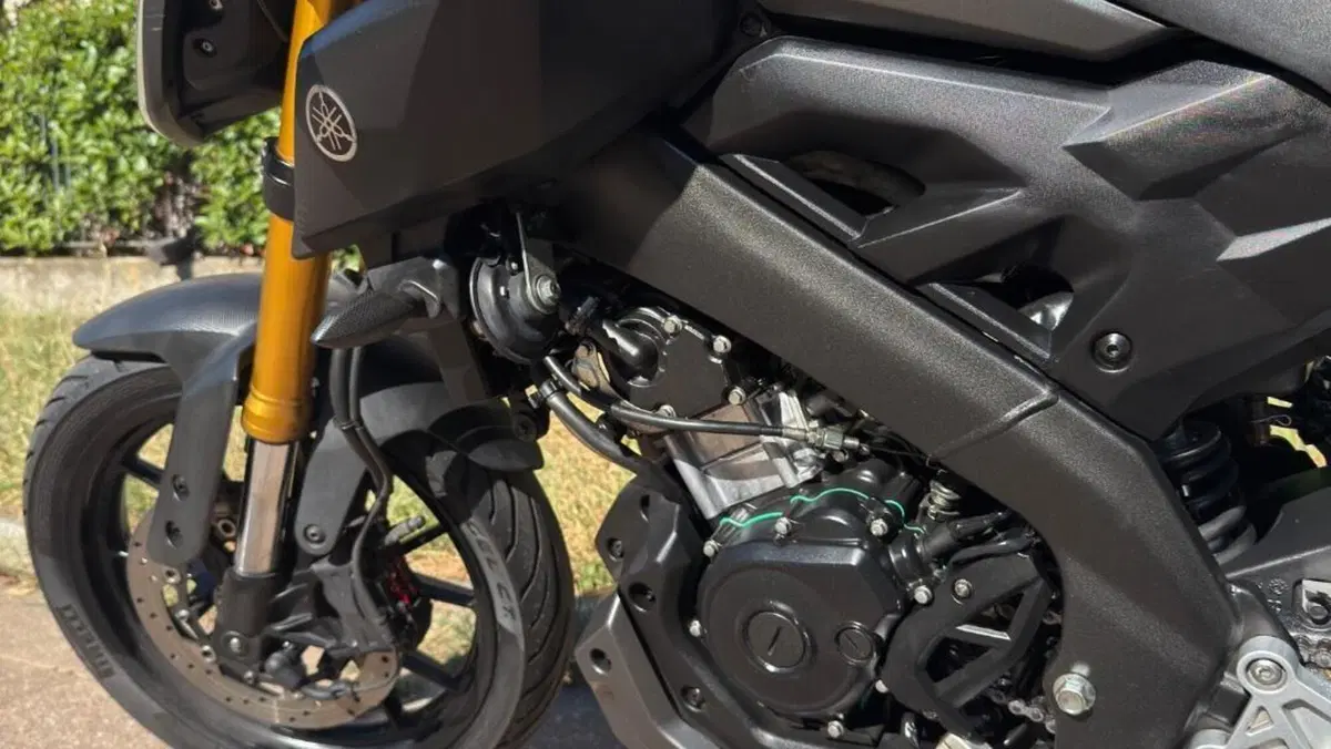 Yamaha MT-125 ABS (2015 - 16)  (5)