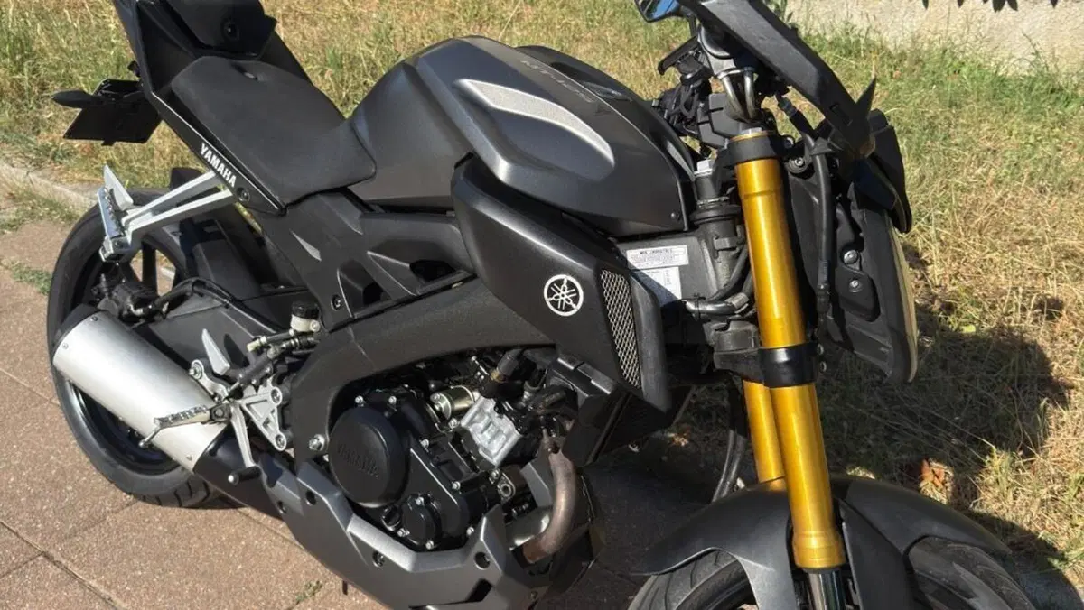 Yamaha MT-125 ABS (2015 - 16)  (9)