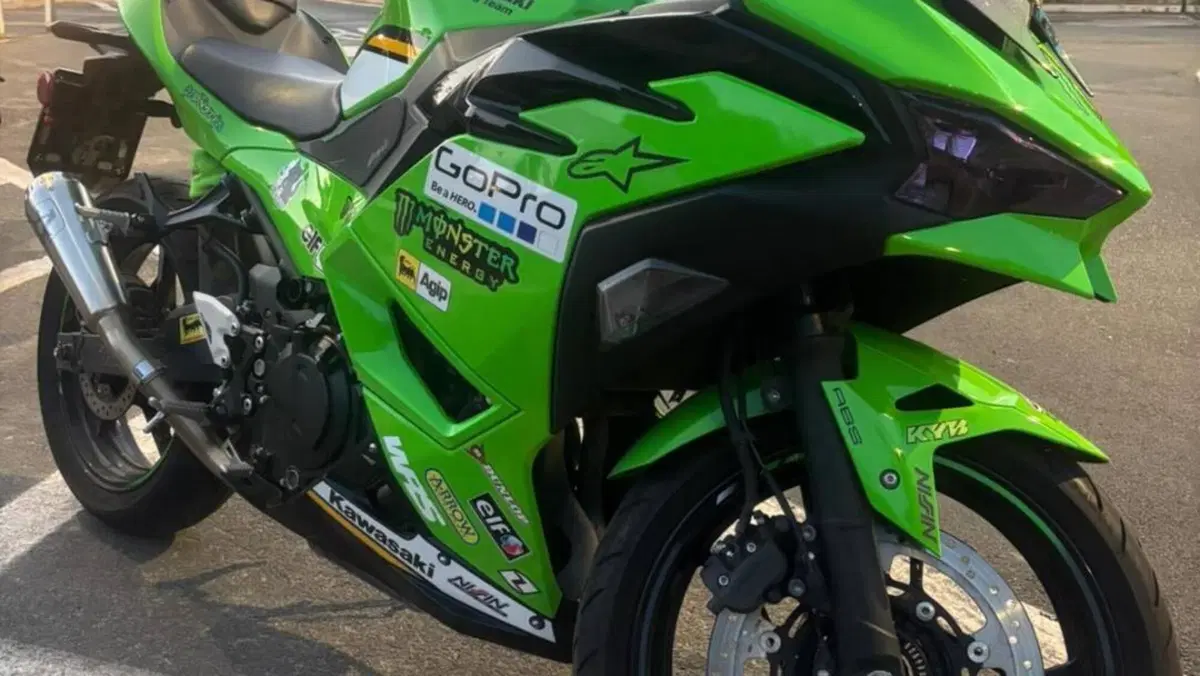 Kawasaki Ninja 500 SE (2024 - 26) 