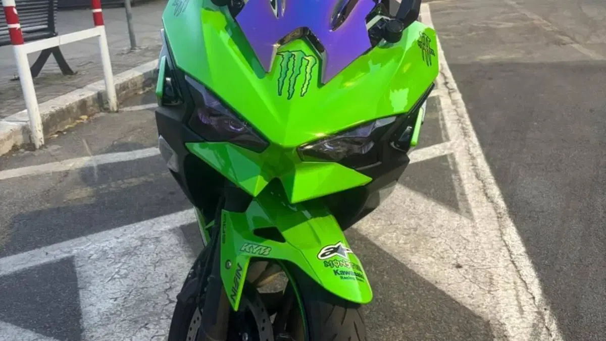 Kawasaki Ninja 500 SE (2024 - 26)  (5)