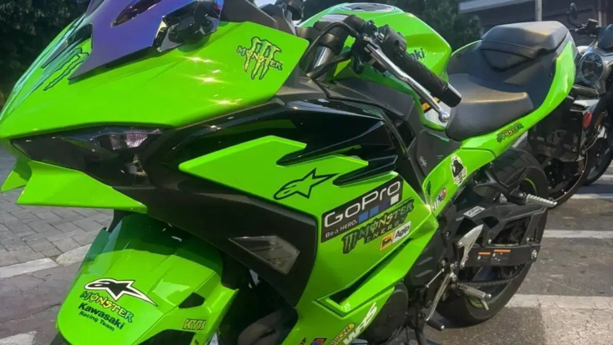 Kawasaki Ninja 500 SE (2024 - 26)  (4)
