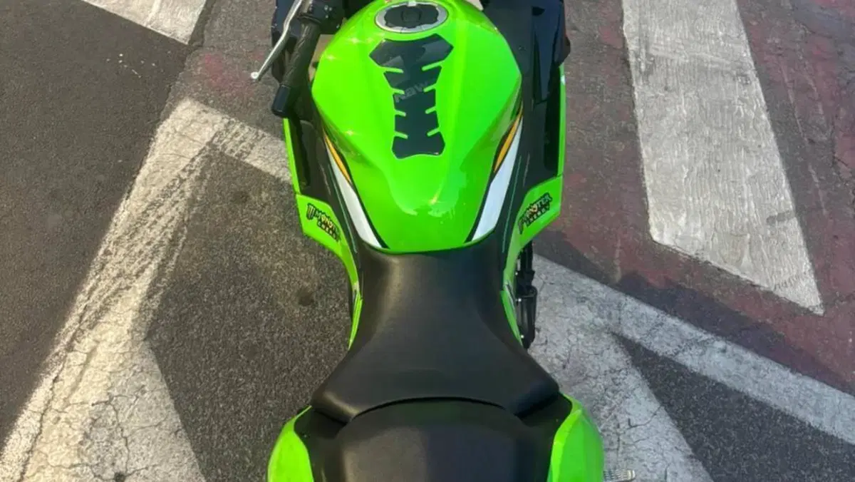 Kawasaki Ninja 500 SE (2024 - 26)  (6)