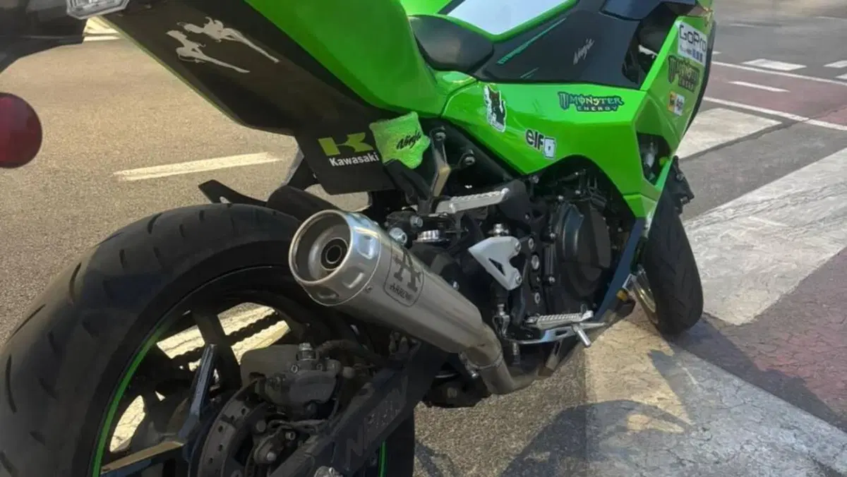 Kawasaki Ninja 500 SE (2024 - 26)  (2)