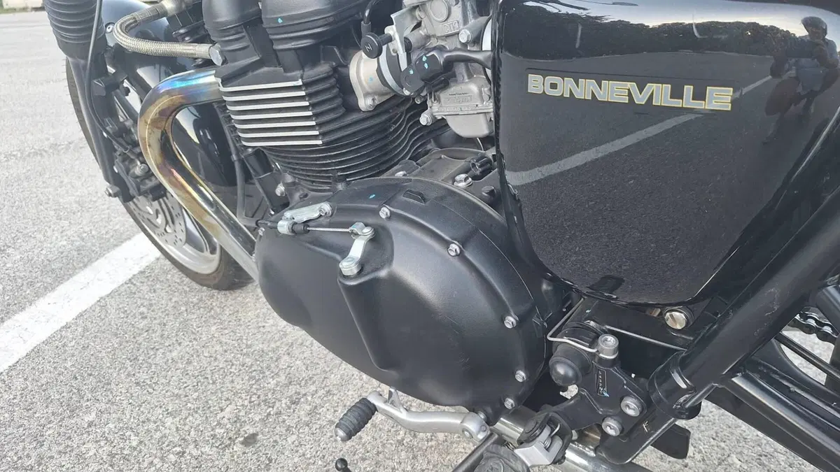 Triumph Bonneville SE (2009 - 13)  (4)