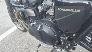 Triumph Bonneville SE (2009 - 13)  (4)