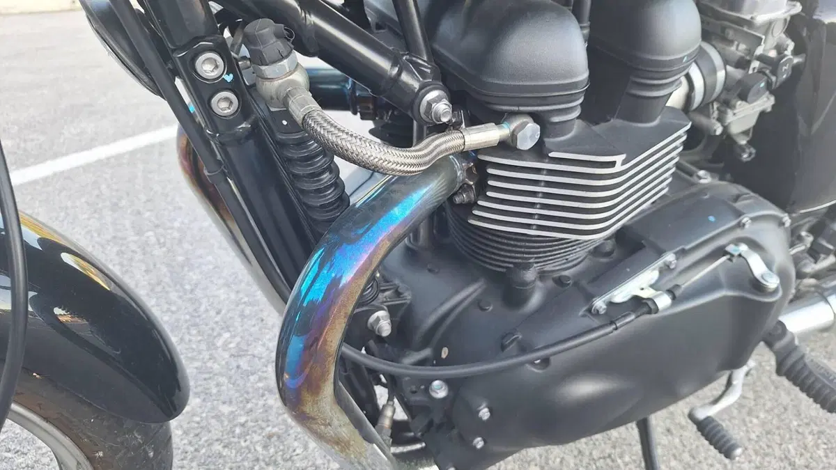 Triumph Bonneville SE (2009 - 13)  (5)