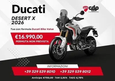 Ducati DesertX (2022 - 25) - Annuncio 10056753