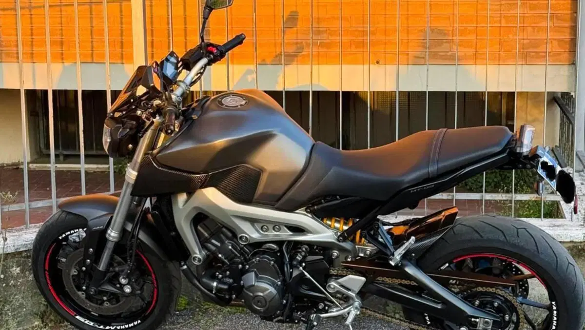 Yamaha MT-09 ABS (2016)  (3)