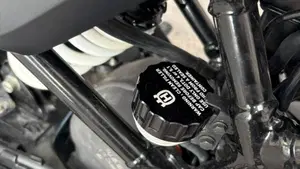 Husqvarna Svartpilen 401 (2021 - 23)  (11)