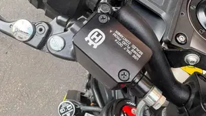 Husqvarna Svartpilen 401 (2021 - 23)  (14)