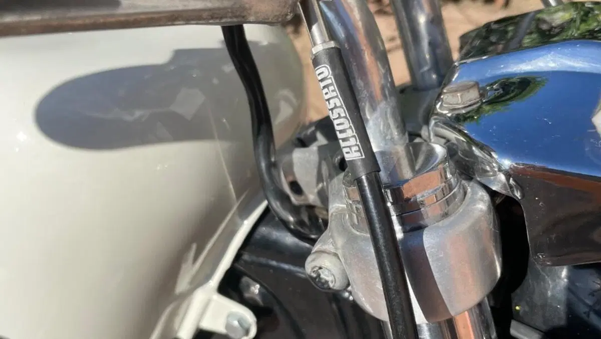Harley-Davidson   (6)