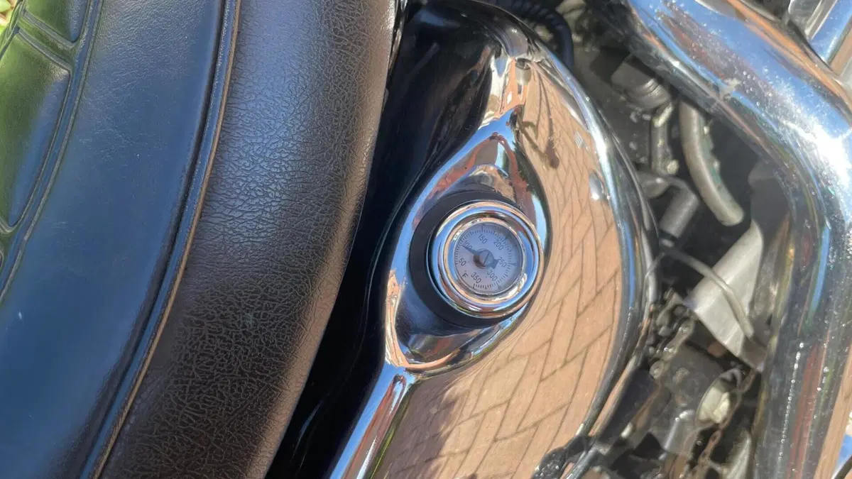 Harley-Davidson   (8)