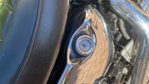 Harley-Davidson   (8)