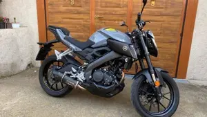 Yamaha MT-125 (2014 - 16)  (3)
