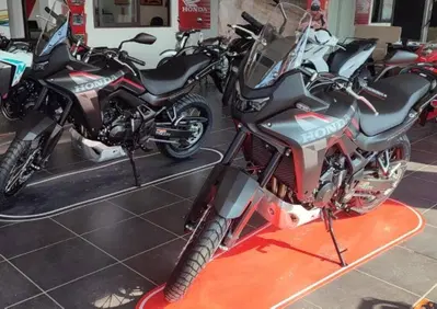 Honda Transalp XL750 (2026) - Annuncio 10057148