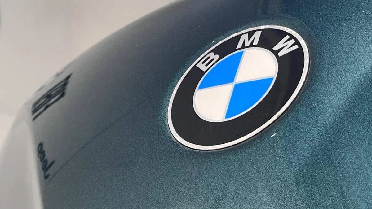 Bmw R 1100 R ABS  (9)