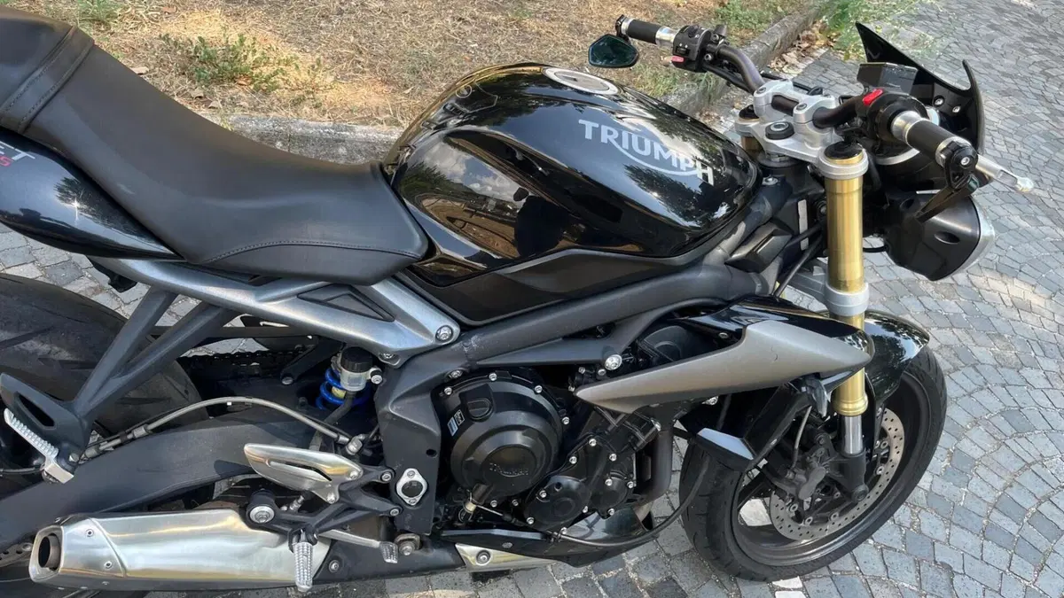 Triumph Street Triple (2013)  (7)