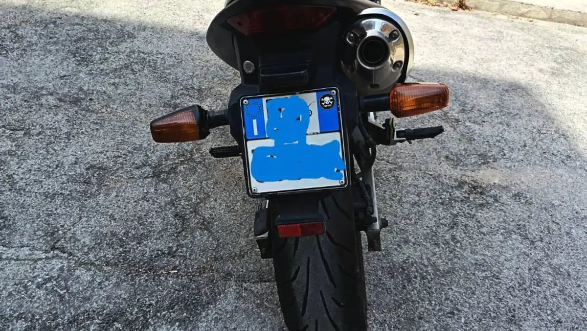 Honda Hornet 600 (2003 - 04)  (3)
