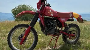 Betamotor   (3)