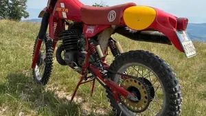 Betamotor   (4)