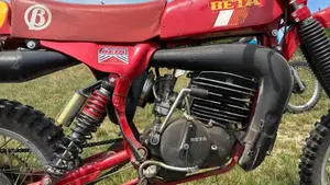 Betamotor   (5)