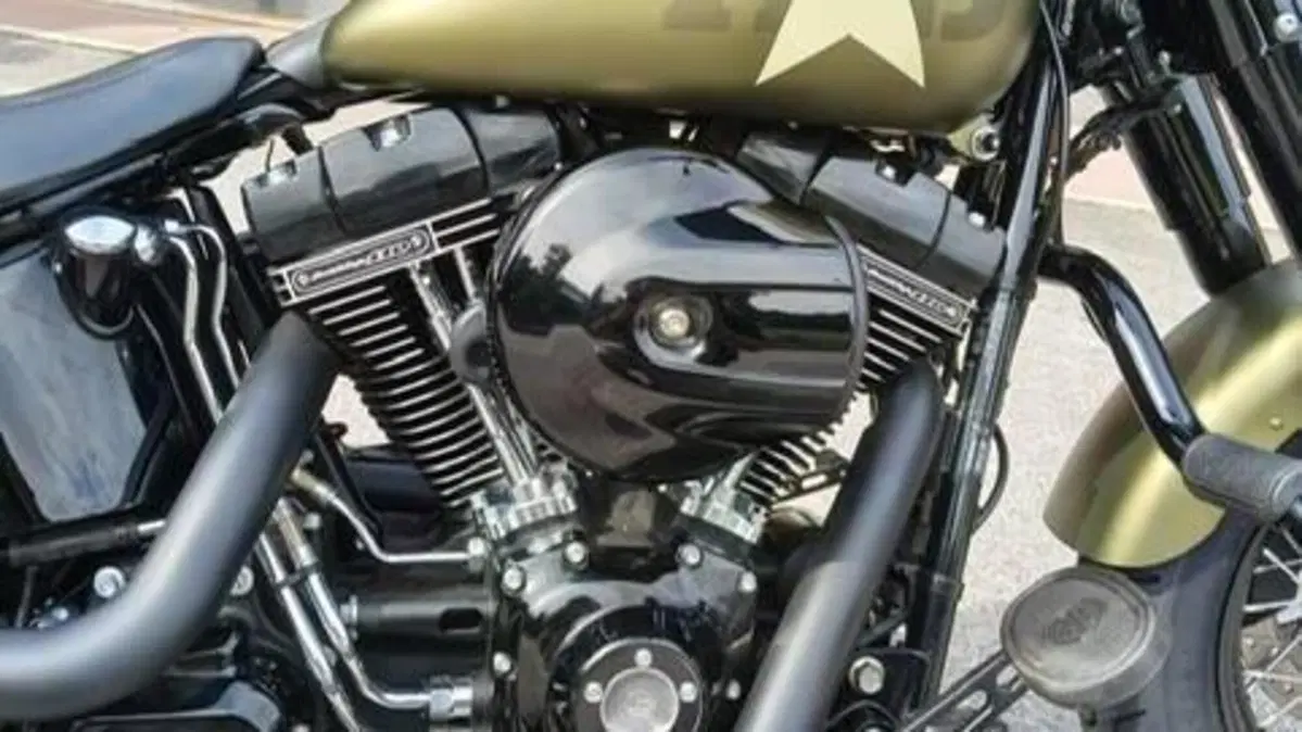 Harley-Davidson 1800 Slim S (2015 - 17) - FLS  (3)